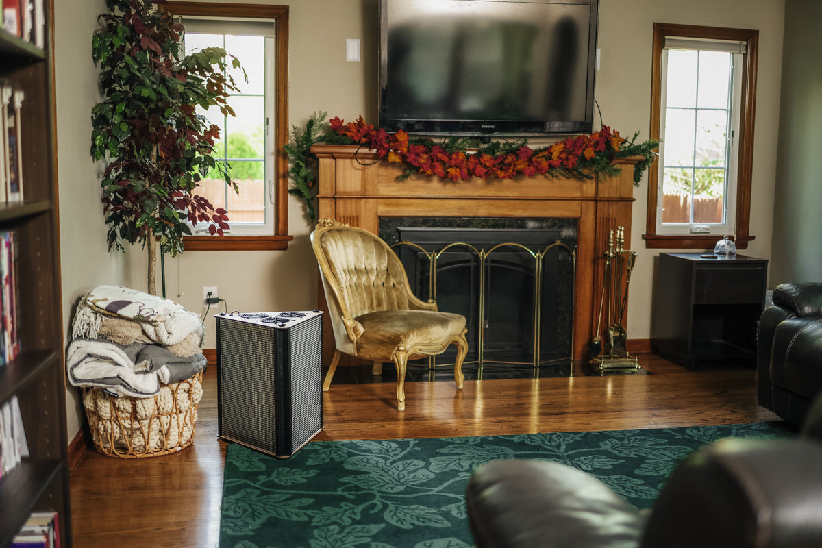 Purifying Prism in a shared space